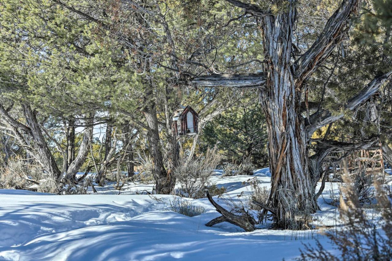 Eagles Landing A Quiet Colorado Mountain Escape Villa Dış mekan fotoğraf